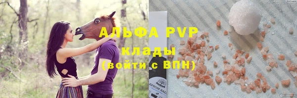 индика Елабуга