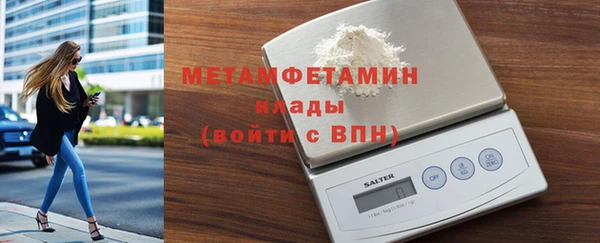индика Елабуга