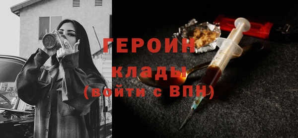 индика Елизово