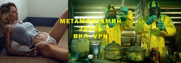 индика Елизово