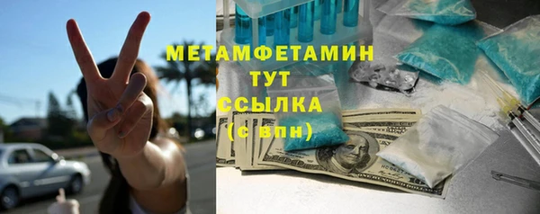 индика Елизово