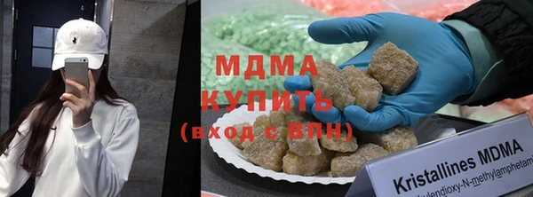 индика Елизово