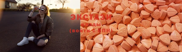 индика Елабуга