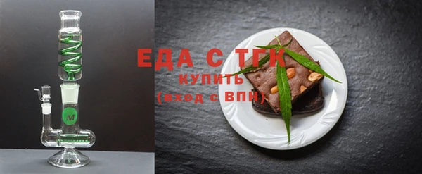 индика Елизово
