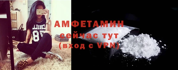 индика Елабуга