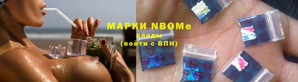 индика Елабуга