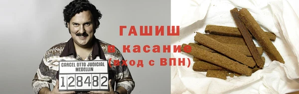 индика Елизово