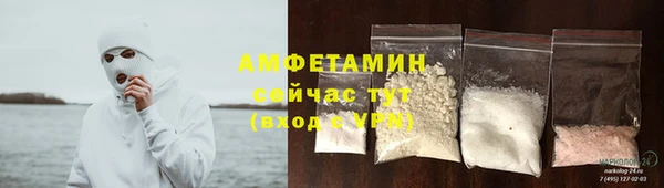 индика Елабуга