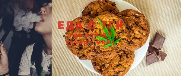 индика Елизово