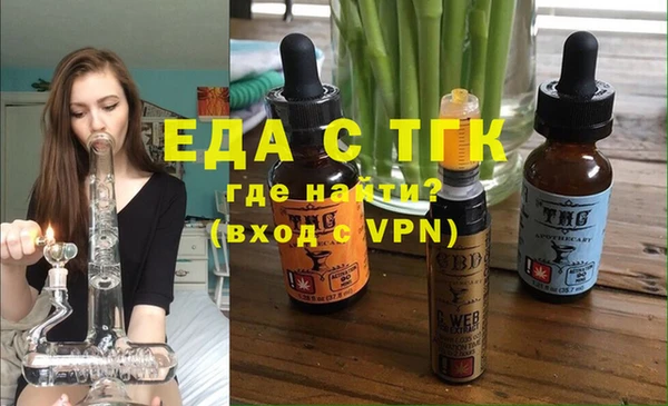 индика Елизово