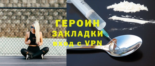 индика Елабуга