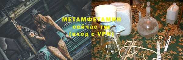индика Елизово