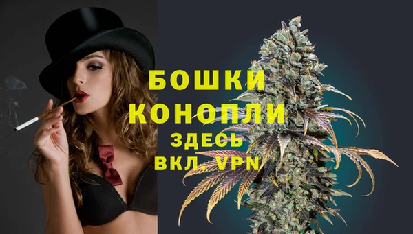 индика Елизово