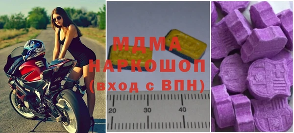 индика Елизово