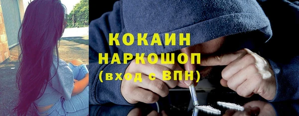 индика Елизово