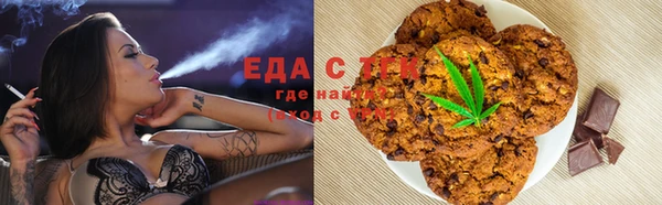 индика Елизово