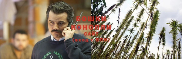 индика Елабуга
