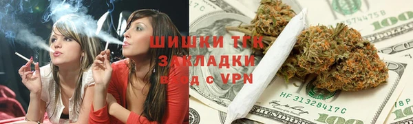 индика Елизово