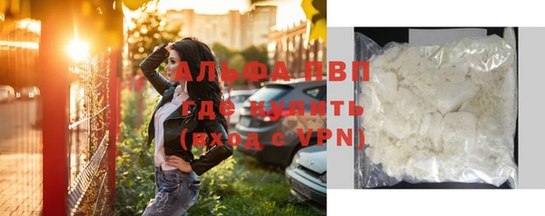 индика Елабуга