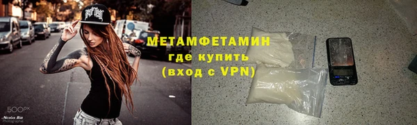 индика Елабуга