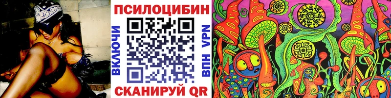 Купить  Константиновск  Псилоцибиновые грибы Cubensis 